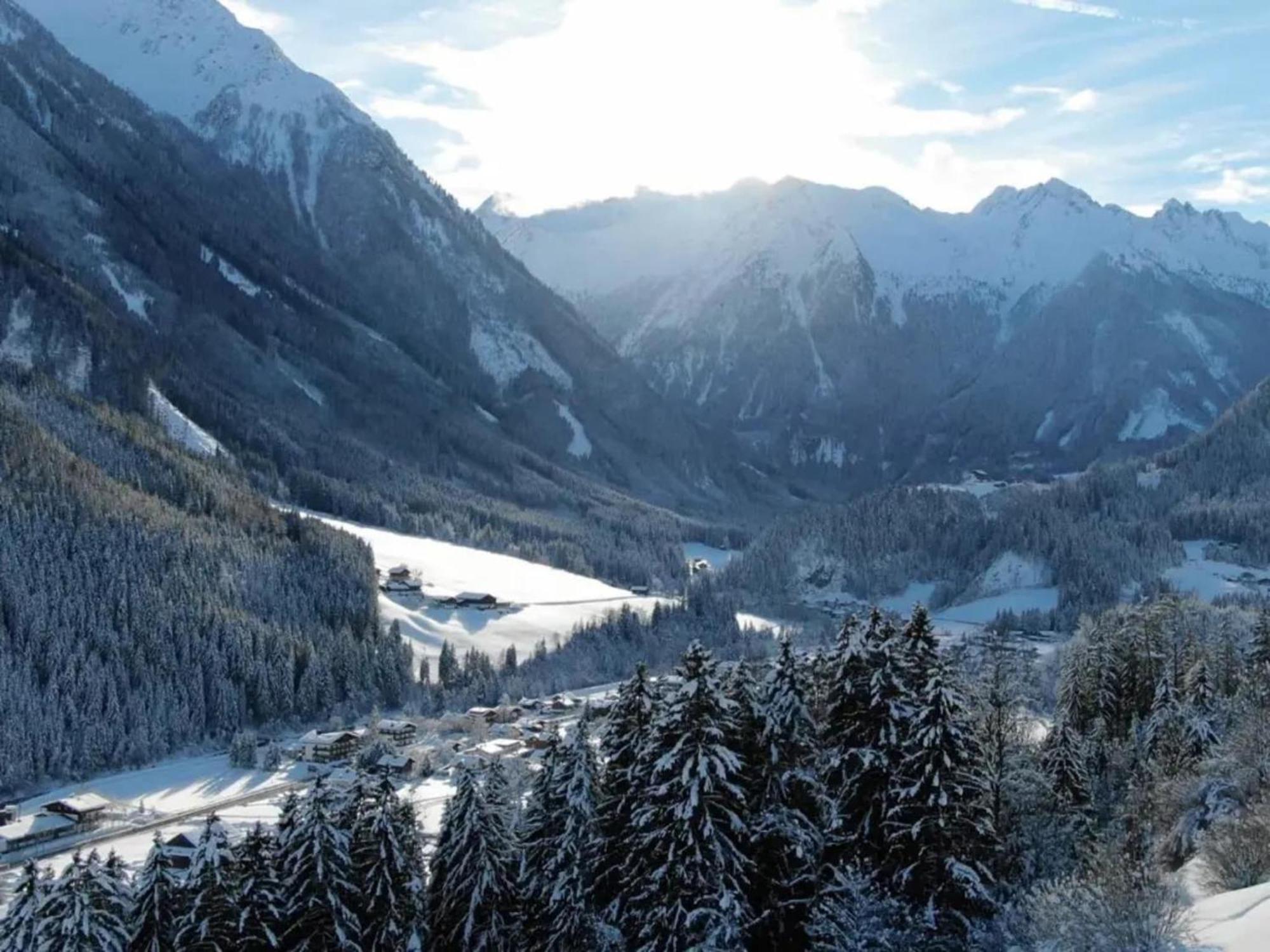 Apartment In Wald Im Pinzgau With Swimming Pool And Views エクステリア 写真